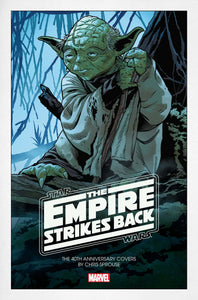 STAR WARS EMPIRE 40TH ANNIV CVR SPROUSE #1